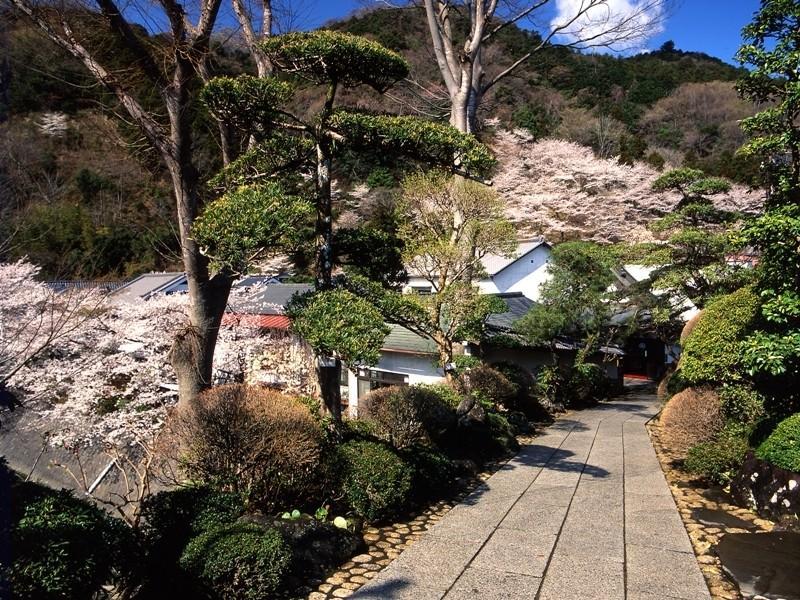 Motoyu Ryokan Atsugi Extérieur photo