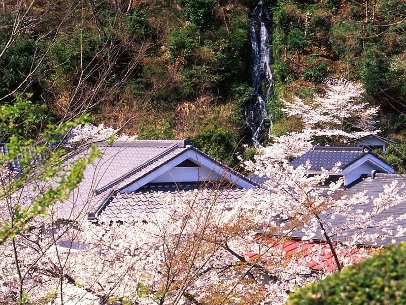 Motoyu Ryokan Atsugi Extérieur photo