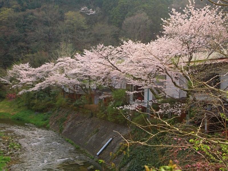 Motoyu Ryokan Atsugi Extérieur photo