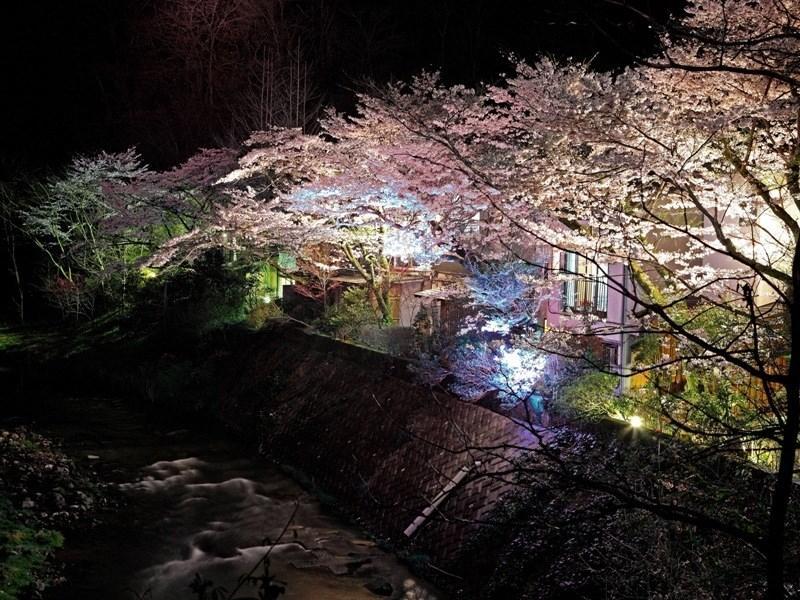 Motoyu Ryokan Atsugi Extérieur photo