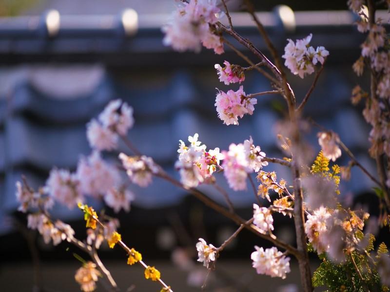 Motoyu Ryokan Atsugi Extérieur photo