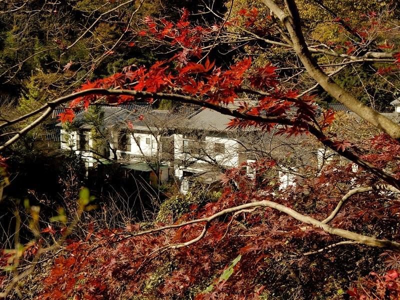 Motoyu Ryokan Atsugi Extérieur photo