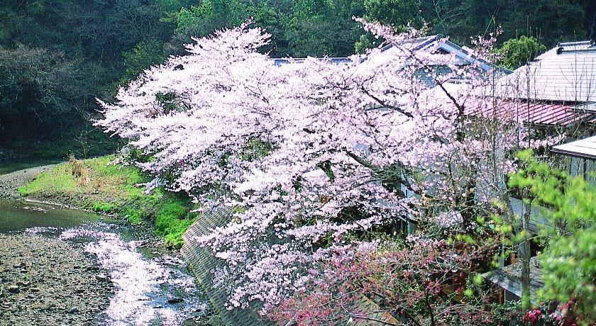 Motoyu Ryokan Atsugi Extérieur photo